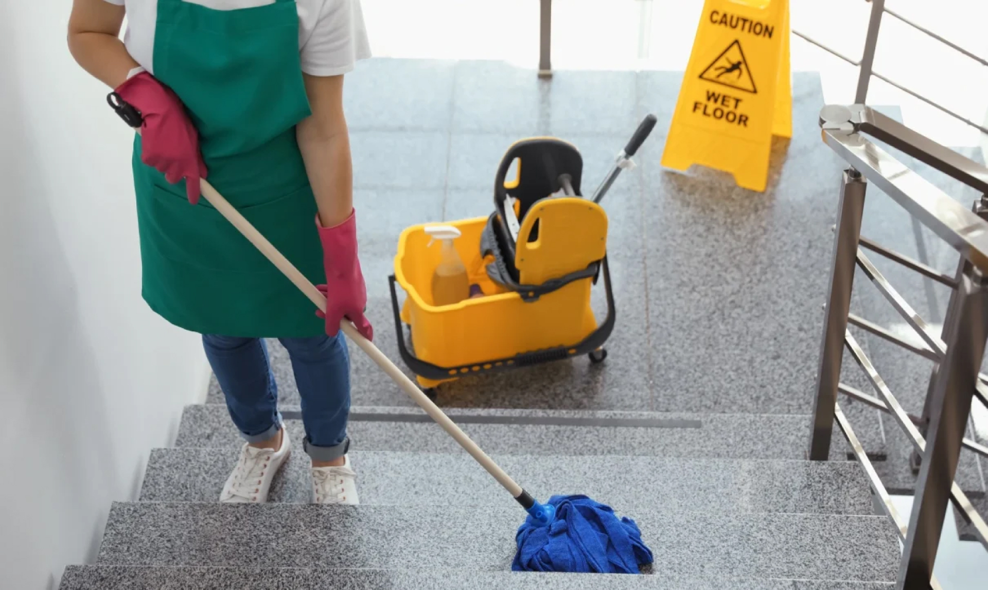 Rayclean 2.0